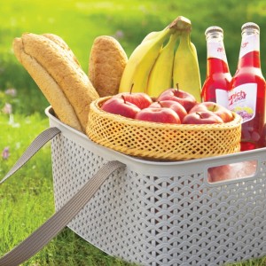 سبد پیک نیک دسته دار آریسام