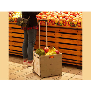 قیمت چرخ خرید بزرگ تاشو شیائومیXiaomi MAIWEI Foldable Trolley Cart 55L TN-SNX02