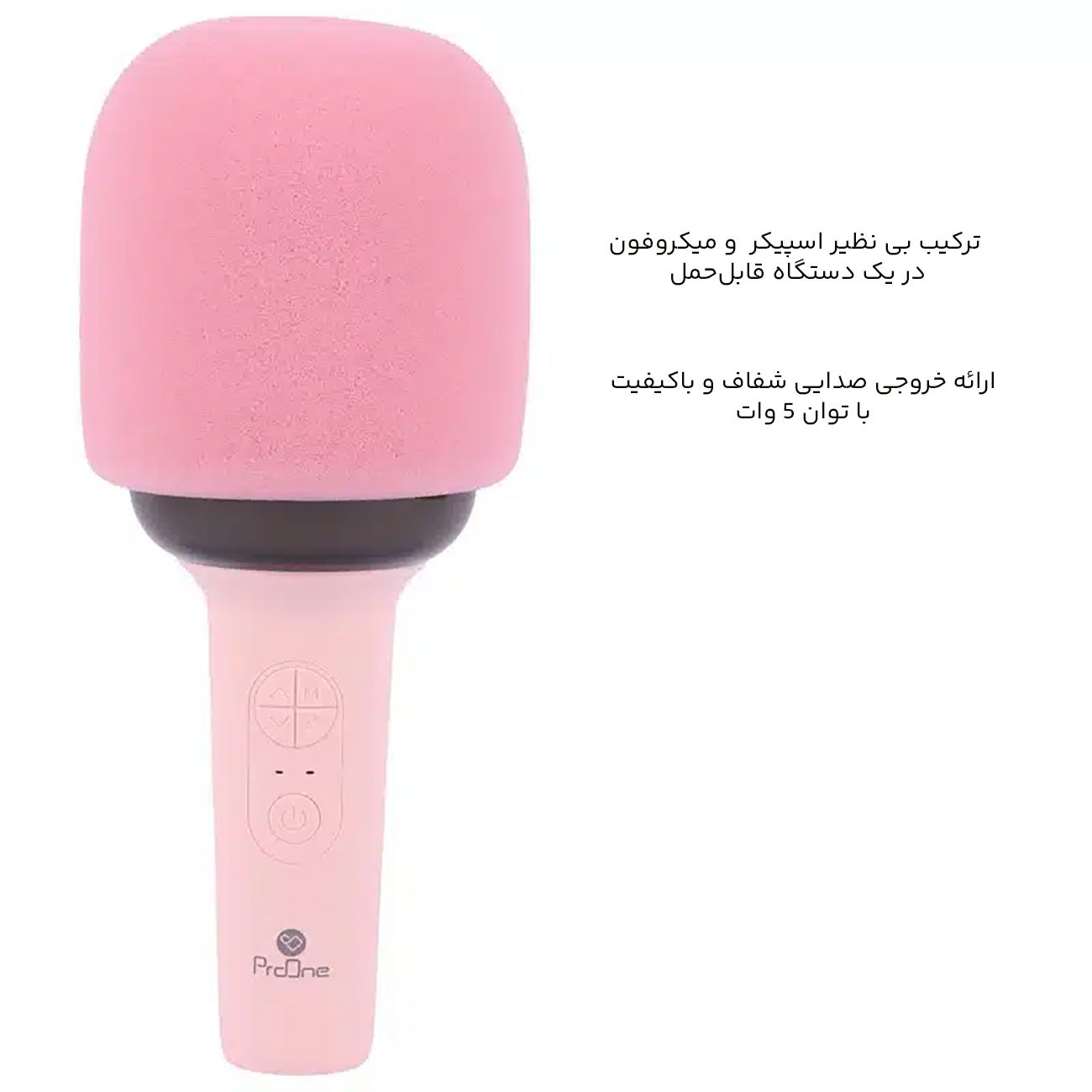 میکروفون و اسپیکر بیسیم دستی