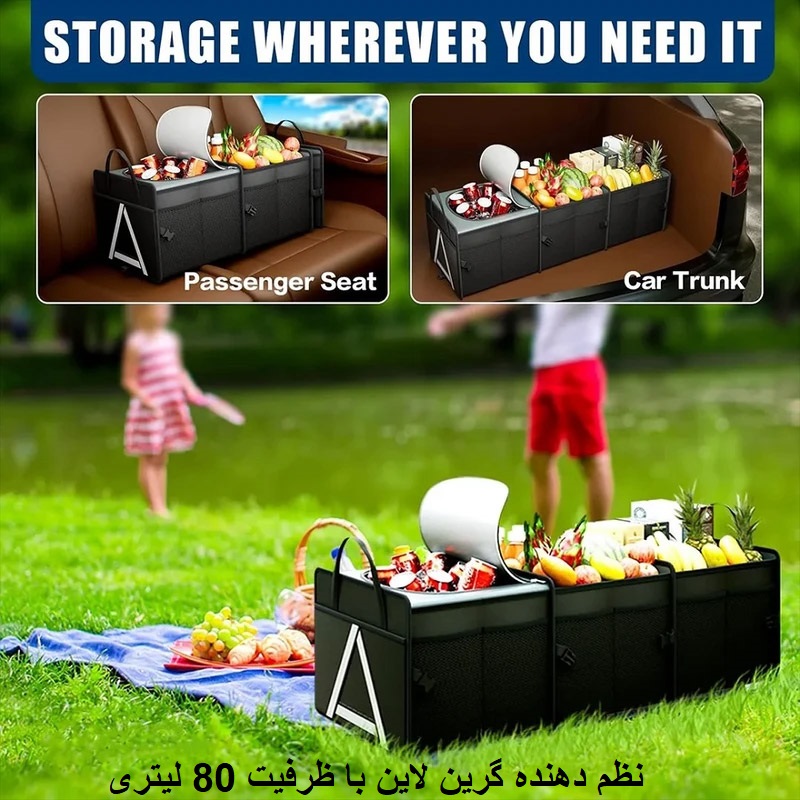 نظم دهنده در پیک نیک