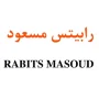 رابیتس مسعود
