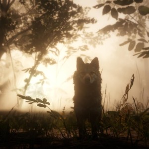 خرید بازی Red Dead Redemption 2 برای PS4