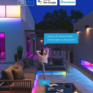 خرید لامپ هوشمند GoVee Outdoors LED - طول ۱۰ متر