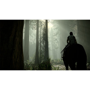 خرید بازی Shadow of the Colossus برای PS4