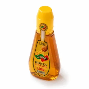 عسل پمپی پژوهش 450 گرمی