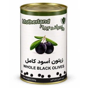 زیتون سیاه با هسته مادرلند ۲۲۰۰ گرمی