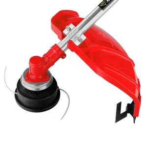 حاشیه زن بنزینی اکو