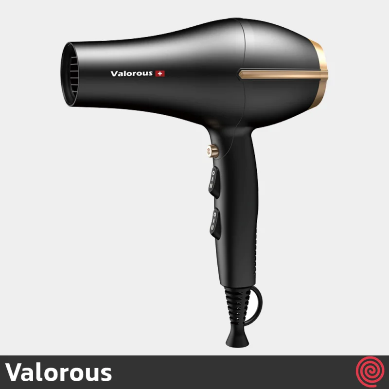 سشوار حرفه ای ولروس مدل Valorous VL-504