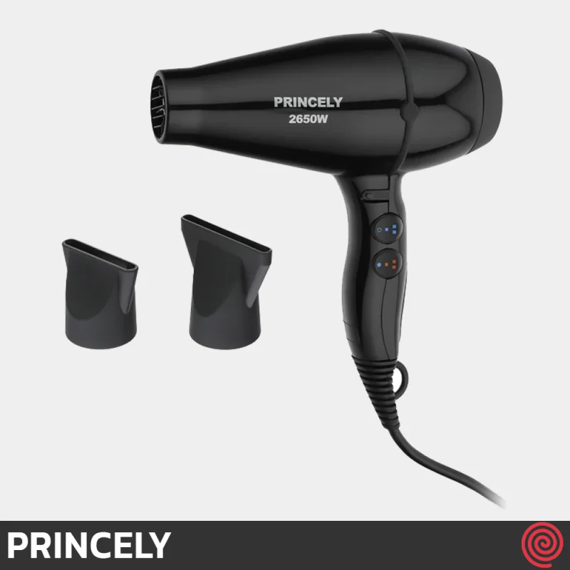سشوار حرفه ای پرینسلی مدل PRINCELY PR200AT