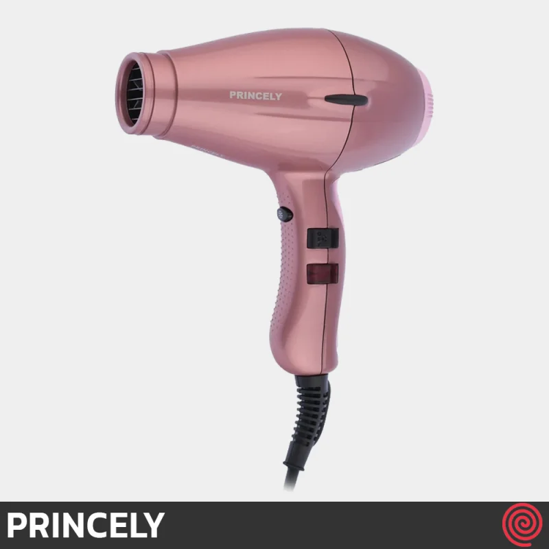 سشوار حرفه ای پرینسلی مدل PRINCELY PR252AT