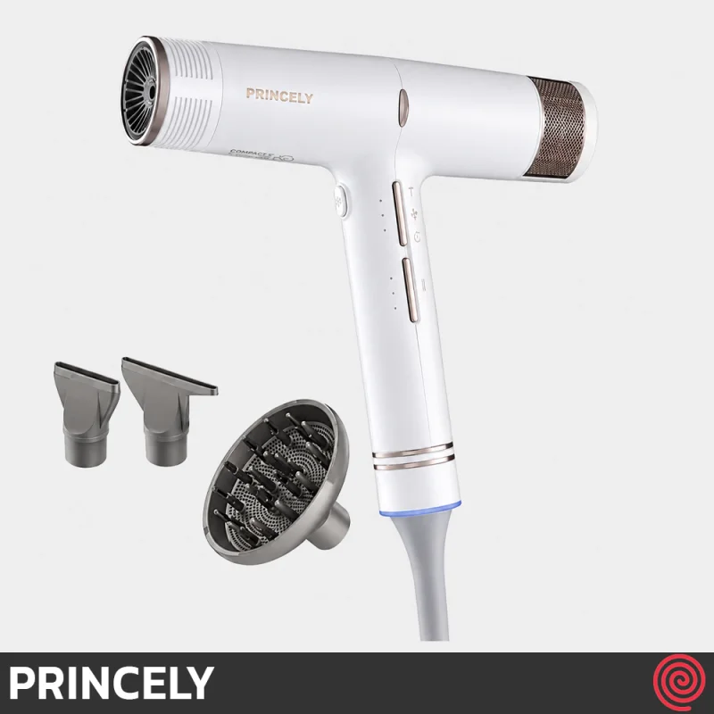 سشوار حرفه ای پرینسلی مدل PRINCELY PR282AT