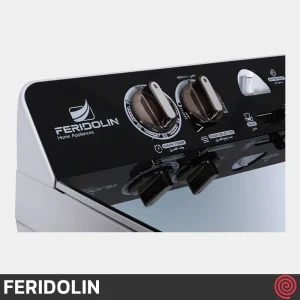 ماشین لباسشویی دوقلو 12 کیلوگرم فریدولین مدل Feridolin SWT120G