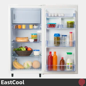 یخچال تک 9 فوت ایستکول مدل EastCool TM-919-DC | مناسب کمپینگ و کمپر