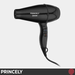 سشوار حرفه ای پرینسلی مدل PRINCELY PR200AT