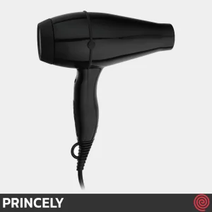 سشوار حرفه ای پرینسلی مدل PRINCELY PR200AT