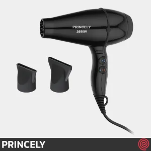 سشوار حرفه ای پرینسلی مدل PRINCELY PR200AT