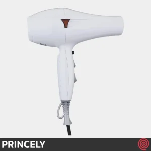 سشوار حرفه ای پرینسلی مدل PRINCELY PR249AT