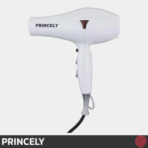 سشوار حرفه ای پرینسلی مدل PRINCELY PR249AT