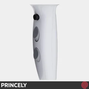 سشوار حرفه ای پرینسلی مدل PRINCELY PR249AT