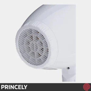 سشوار حرفه ای پرینسلی مدل PRINCELY PR249AT