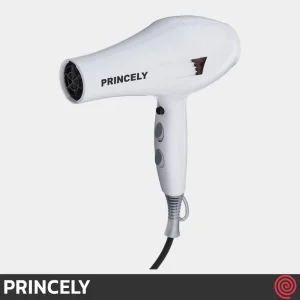 سشوار حرفه ای پرینسلی مدل PRINCELY PR249AT