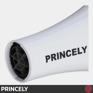 سشوار حرفه ای پرینسلی مدل PRINCELY PR249AT