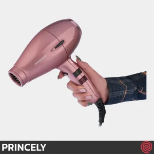 سشوار حرفه ای پرینسلی مدل PRINCELY PR252AT