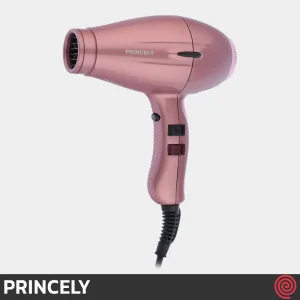 سشوار حرفه ای پرینسلی مدل PRINCELY PR252AT