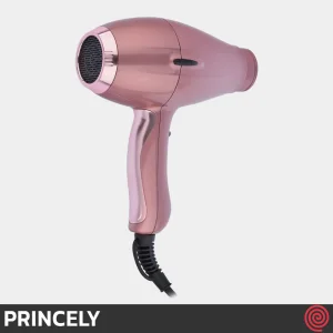 سشوار حرفه ای پرینسلی مدل PRINCELY PR252AT