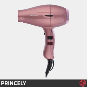 سشوار حرفه ای پرینسلی مدل PRINCELY PR252AT