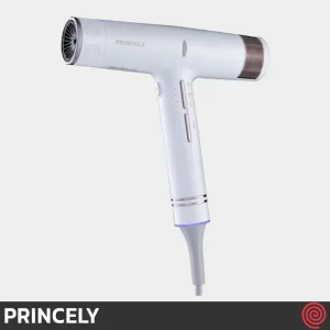 سشوار حرفه ای پرینسلی مدل PRINCELY PR282AT