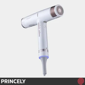 سشوار حرفه ای پرینسلی مدل PRINCELY PR282AT