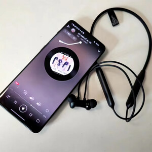 هندزفری گردنی وان پلاس مدل OnePlus Z2 E305