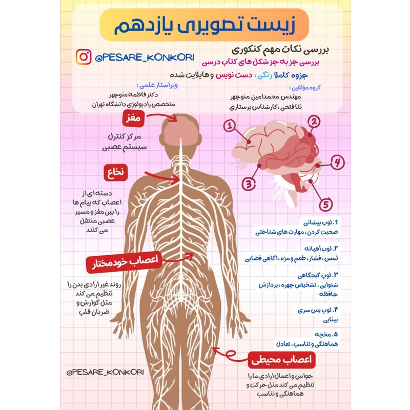 زیست تصویری یازدهم