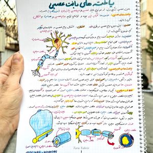 زیست تصویری یازدهم