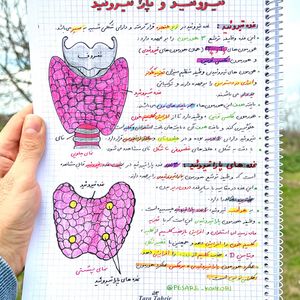 زیست تصویری یازدهم