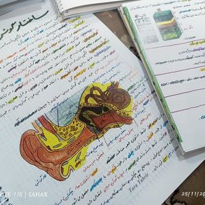 زیست تصویری یازدهم