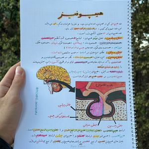 زیست تصویری یازدهم