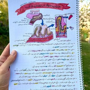 زیست تصویری دهم