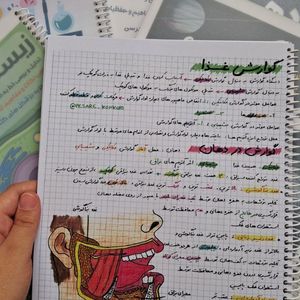 زیست تصویری دهم