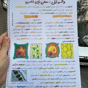 زیست گیاهی جامع