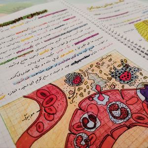 زیست تصویری یازدهم