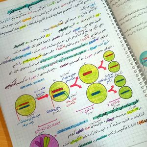 زیست تصویری یازدهم