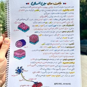 زیست تصویری دهم