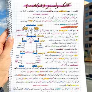 زیست دوازدهم