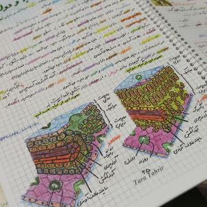 زیست گیاهی جامع