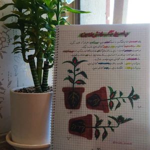 زیست گیاهی جامع