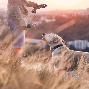 قیمت دستگاه دورکننده حیوانات اولتراسونیک گرین لاین