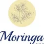 مورینگا