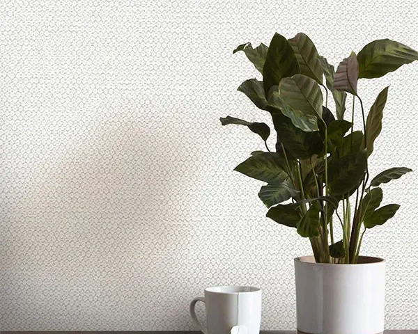 آلبوم کاغذدیواری کربن 1 طرح جودون کرم کد ۱۰۰۶۲